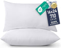 Utopia Bedding 16x24 Pillow Inserts, Sofa & Couch – Soft, Supportive & Fluffy by UTOPIABEDDING