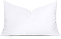 MIULEE Throw Pillow Insert Premium Pillow Stuffer Sham Rectangle by MIULEE