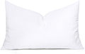 MIULEE 14x24 Inch Throw Pillow Insert by MIULEE