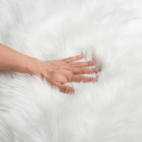 EasyJoy Ultra Soft Fluffy Shaggy Area Rug Faux Fur Rug Chair Cover Seat Pad - Image 6
