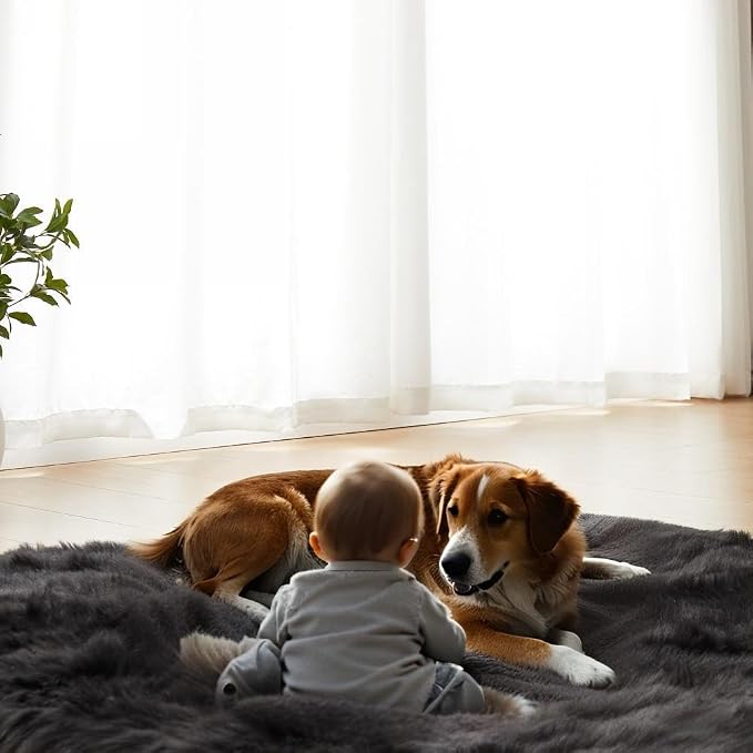 AMTOVO Faux Fur Sheepskin Rug for Living Room, 4 x 6 ft Black Fluffy Area Rug - Image 8