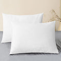 CaliTime Throw Pillow Covers Decorative 20 X 26 Inches Pack of 2 Cozy Chenille by CaliTime