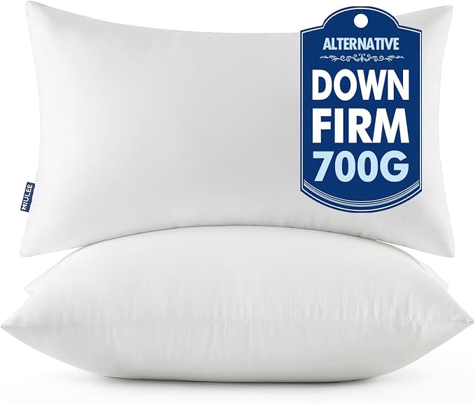 MIULEE Pillows Standard Size Set of 2 by MIULEE