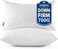 MIULEE Pillows Standard Size Set of 2 by MIULEE