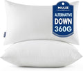 MIULEE Throw Pillows Inserts by MIULEE