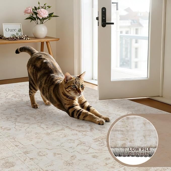 6x9 Area Rugs Living Room: Bedroom Washable Carpet Warm Beige | Vintage Boho - Image 7