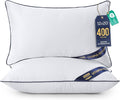Utopia Bedding Throw Pillow Inserts, 12 x 20 Inches Decorative Indoor Pillows by UTOPIABEDDING