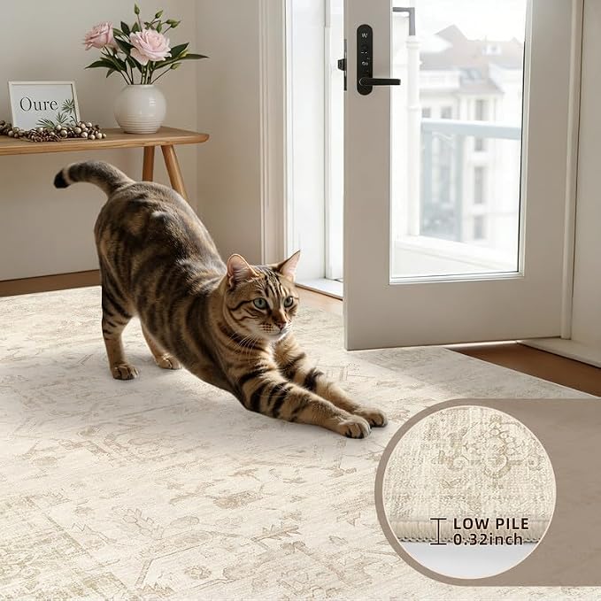 Round Area Rug Living Room: 8ft Washable Carpet Beige/Brown | Vintage Boho - Image 6