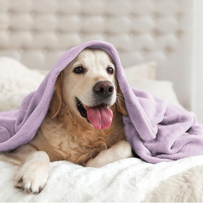 BEDELITE Fleece Blanket King Size Blankets - Image 9