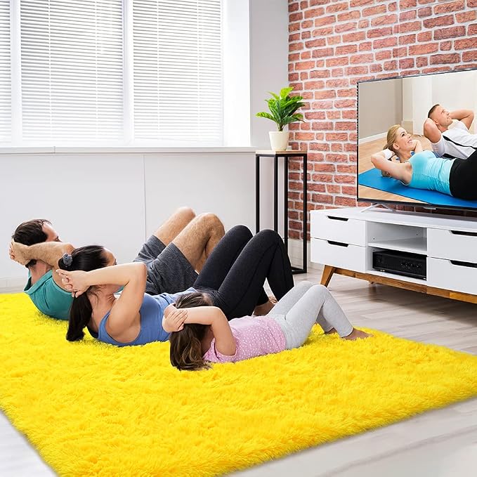 Amearea Premium Soft Fluffy Area Rug Modern Shag Carpet, Fuzzy Plush Rugs - Image 4