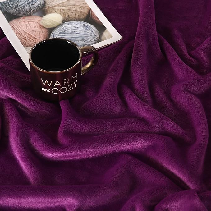 TASTHROW Large Flannel Fleece Throw Blanket, 50×70 Inch - Image 3