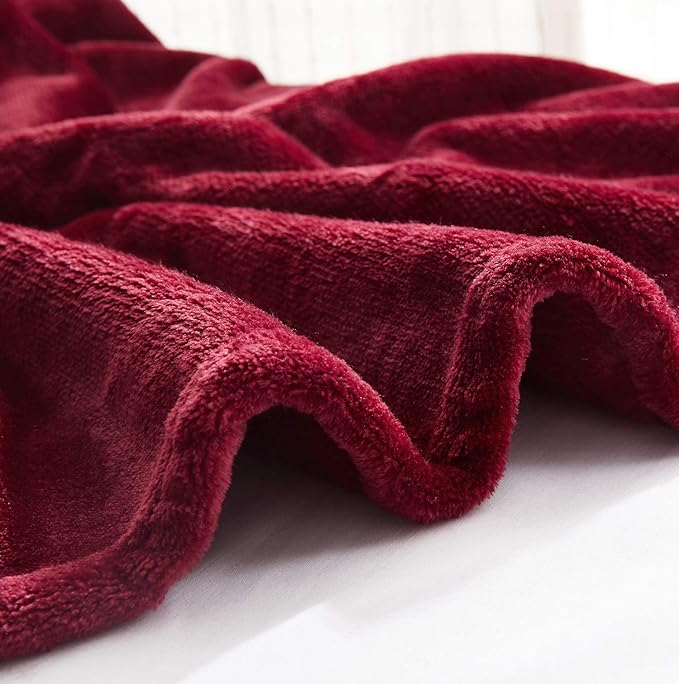 TASTHROW Large Flannel Fleece Throw Blanket, 60×80 Inch - Image 4