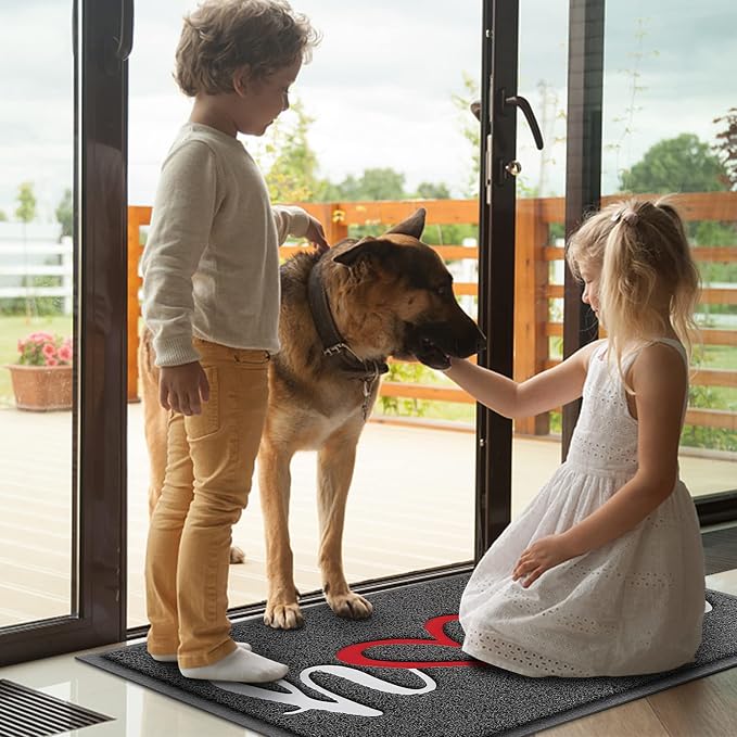 BeneathYourFeet Door Mat, Welcome Mat Low Profile Floor Mat Front Doormat - Image 2
