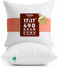 Utopia Bedding 17x17 Pillow Inserts, 2 Pack | Indoor cushion inserts by UTOPIABEDDING