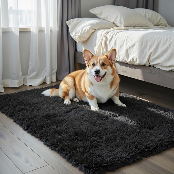 Small Area Rugs 2x3 Feet, Modern Shag Bedroom Mat, Small Carpet, Fluffy Bedside by Junhejiamei