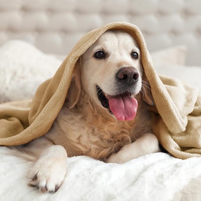 BEDELITE Fleece Blanket King Size Blankets - Image 7