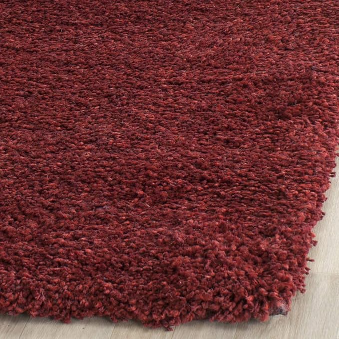 SAFAVIEH Area Rug 3x5 - Image 4