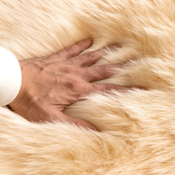 MIULEE Luxury Super Soft Fluffy Area Rug Faux Fur Cloud Shape Rug Decorative - Image 2
