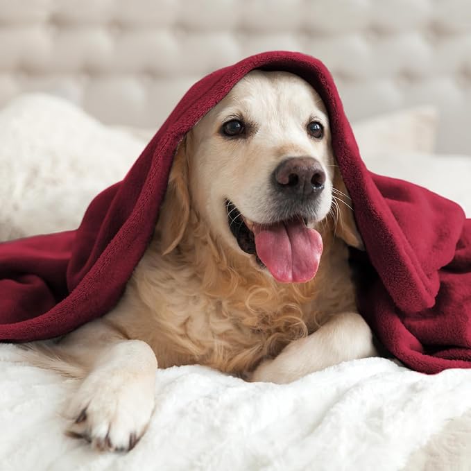 BEDELITE Fleece Blanket Burgundy Throw Blankets - Image 7
