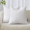 MIULEE 20x20 Inches Pillow Inserts Pack of 2, Decorative Throw Pillow Inserts by MIULEE