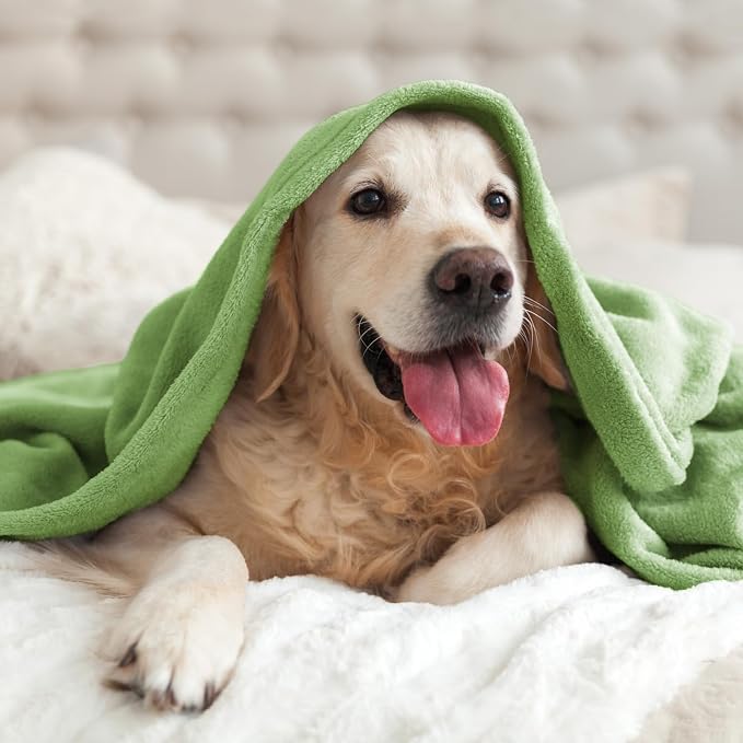 BEDELITE Fleece Blankets Queen Size Grass Green Throw Blankets - Image 8