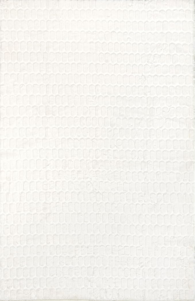 Nuloom Nia White/Ivory, Cozy Shag, Fluffy and Soft, High Traffic, Stain - Image 5