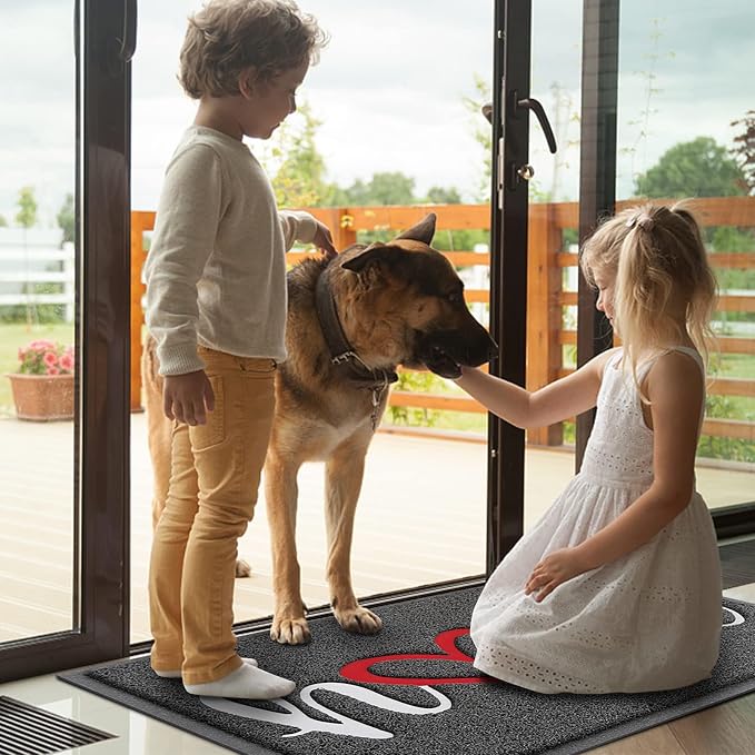 BeneathYourFeet Door Mat, Welcome Mat Low Profile Floor Mat Front Doormat - Image 2