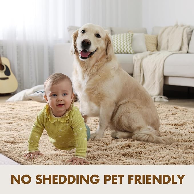 8x10 Ft Extra Large Shag Beige Rugs - Image 6