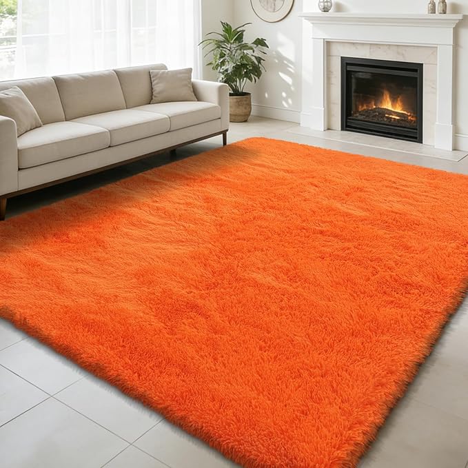 Shag Area Rug for Bedroom 5x8, Soft Fuzzy Rug Non-Shedding Indoor Plush Carpet by yulidayang
