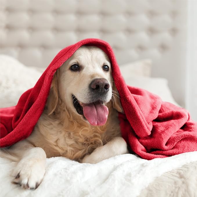 BEDELITE Fleece Blanket Twin Size Red Throw Blanket - Image 7