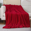 JIAHANNHA Red Throw Blanket Decorations Thin Fleece Blanket 50"x60", Super Soft by JIAHANNHA