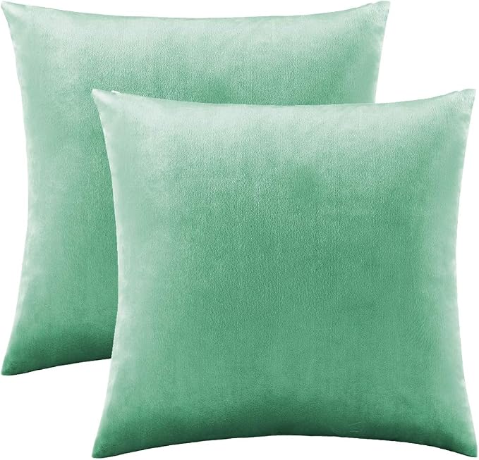 GIGIZAZA Decorative Throw Pillow Covers 16x16, Velvet Sofa Boho Cushion Pillows - Image 2