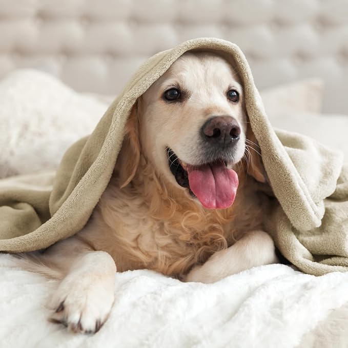BEDELITE Fleece Blankets Queen Size Linen Throw Blankets - Image 8