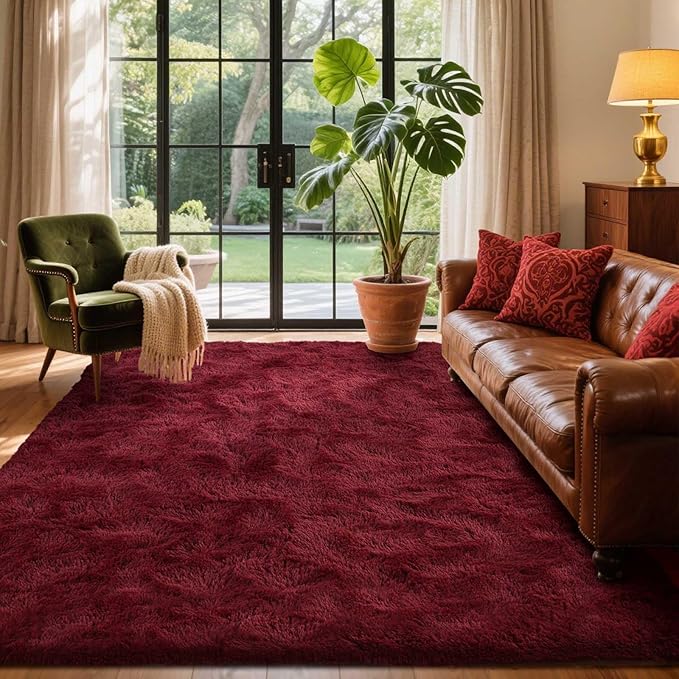 Area Rugs for Living Room, 4x6 Feet Soft Fluffy Shagg Plush Rug High Pile Large by Cuzwlovita