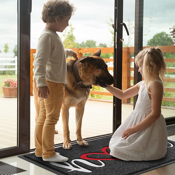 BeneathYourFeet Door Mat, Welcome Mat Low Profile Floor Mat Front Doormat - Image 2