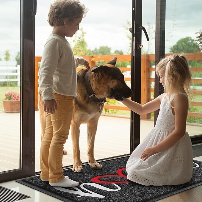 BeneathYourFeet Door Mat, Welcome Mat Low Profile Floor Mat Front Doormat - Image 2