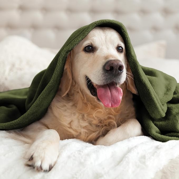BEDELITE Fleece Blanket Olive Green Throw Blankets - Image 7
