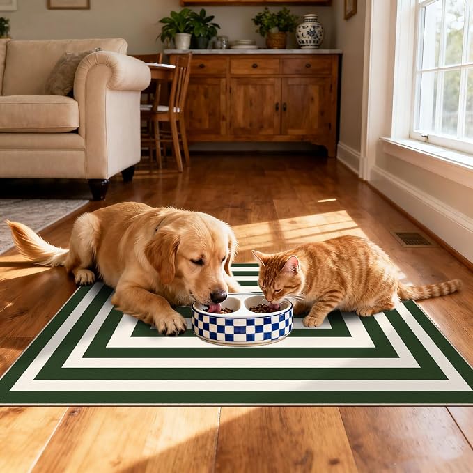 Front Door Mat Outside Entrance - Image 6