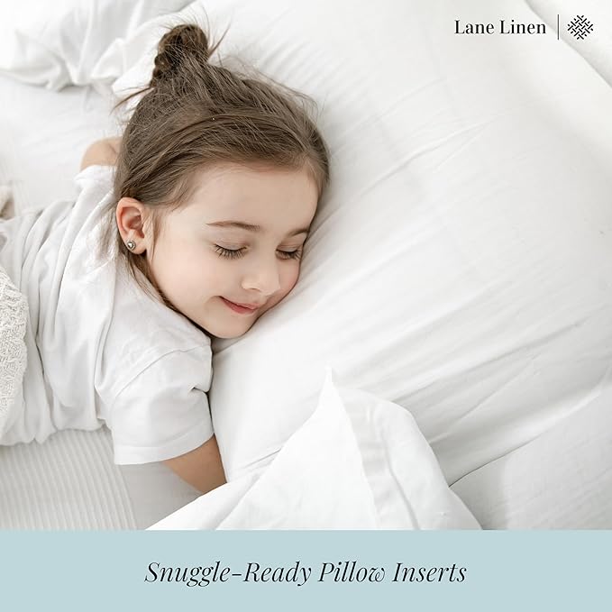 LANE LINEN 12x20 Pillow Insert - Image 5