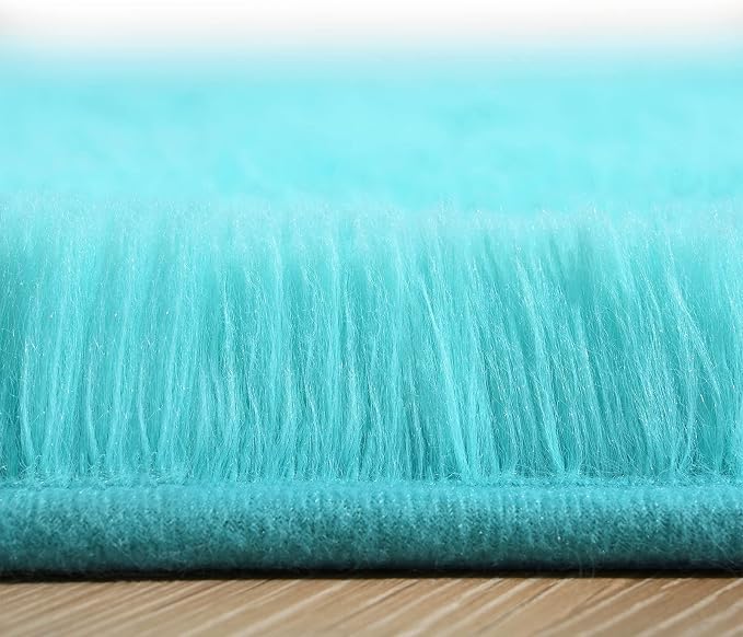 Amearea Premium Soft Area Rug 4x5.3 Feet, Fluffy Carpet - Image 7