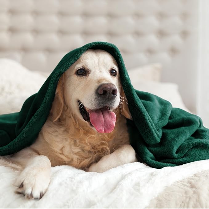 BEDELITE Fleece Blanket Twin Size Forest Green Throw Blankets - Image 7