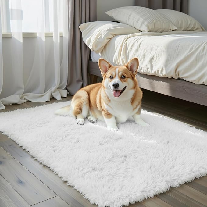 Small Rugs for Bedroom 2x3 Fluffy, Soft Fuzzy Area Rug for Living Room Dorm by Junhejiamei