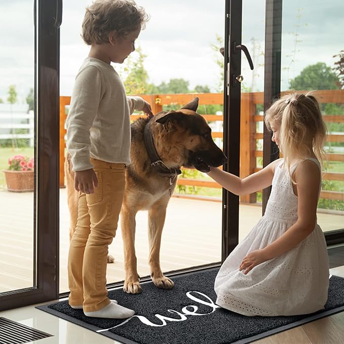 BeneathYourFeet Door Mat, Welcome Mat Low Profile Floor Mat Front Doormat - Image 2