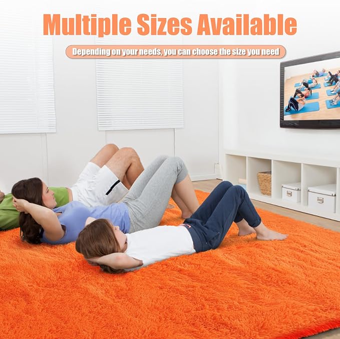 9x12 Fluffy Area Rugs for Living Room, Soft Non-Shedding Indoor Plush Carpet - Image 6