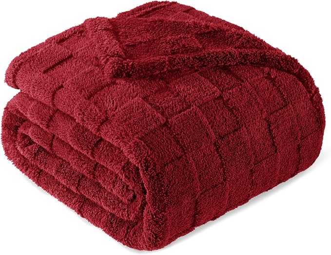 Exclusivo Mezcla King Size Flannel Fleece Blanket, Super Soft and Warm by ExclusivoMezcla