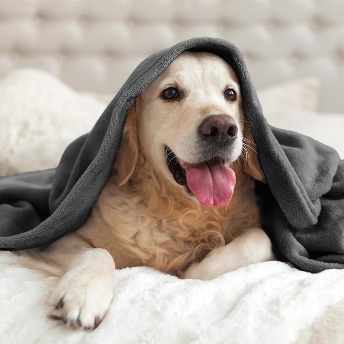 BEDELITE Fleece Blanket Charcoal Grey Throw Blankets - Image 7