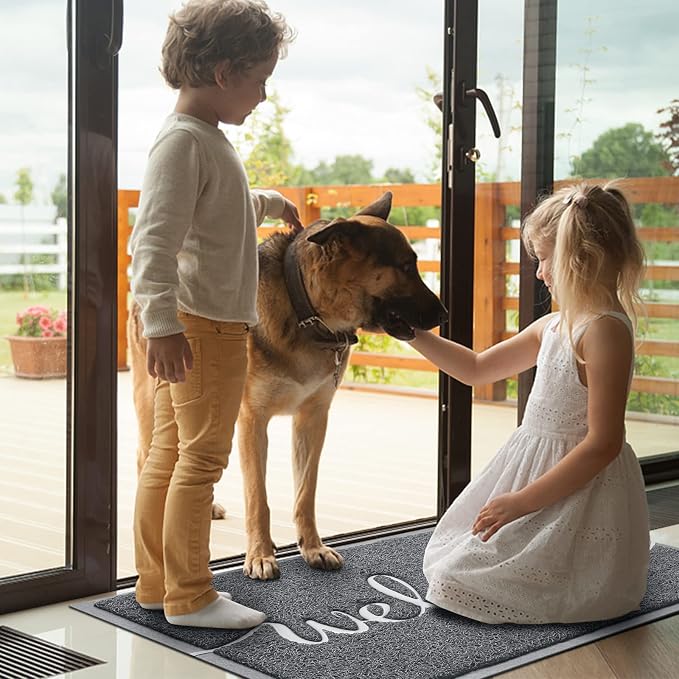 BeneathYourFeet Door Mat, Welcome Mat Low Profile Floor Mat Front Doormat - Image 2