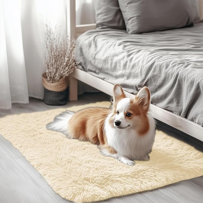 OLANLY 2x3 Machine Washable Small Bedside Rug, Soft Fluffy Shaggy Entryway by OLANLY