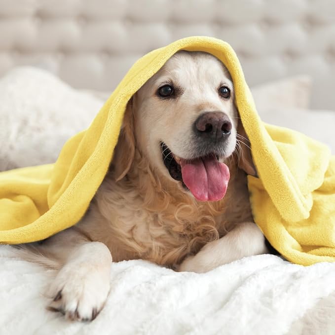 BEDELITE Fleece Blanket Twin Size Light Yellow Throw Blankets - Image 7