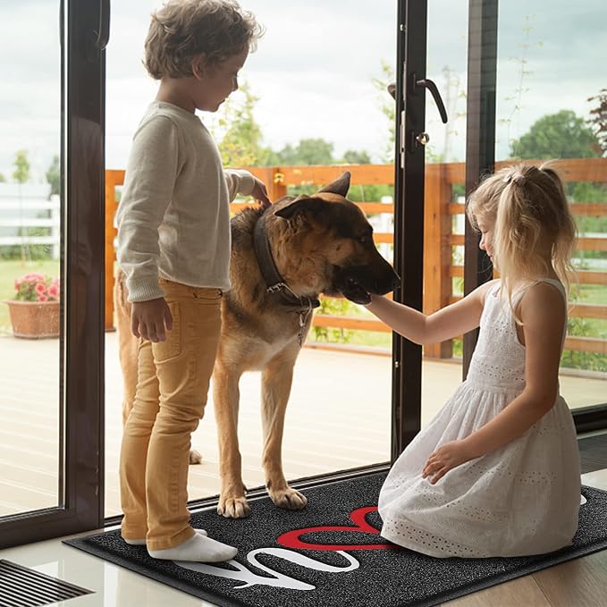 BeneathYourFeet Door Mat, Welcome Mat Low Profile Floor Mat Front Doormat - Image 6